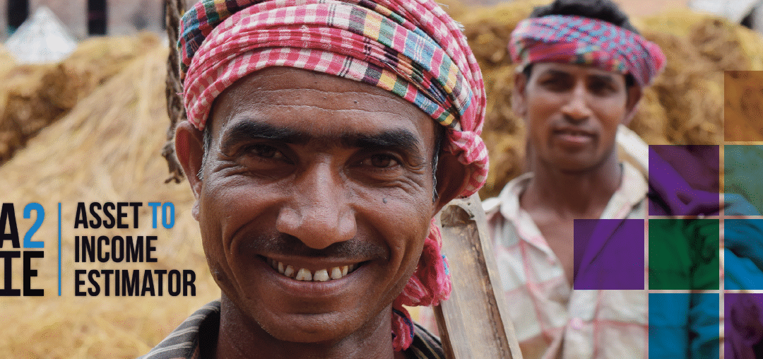 Raising the Bar: A2IE Updates to Reflect New Global Poverty Standards