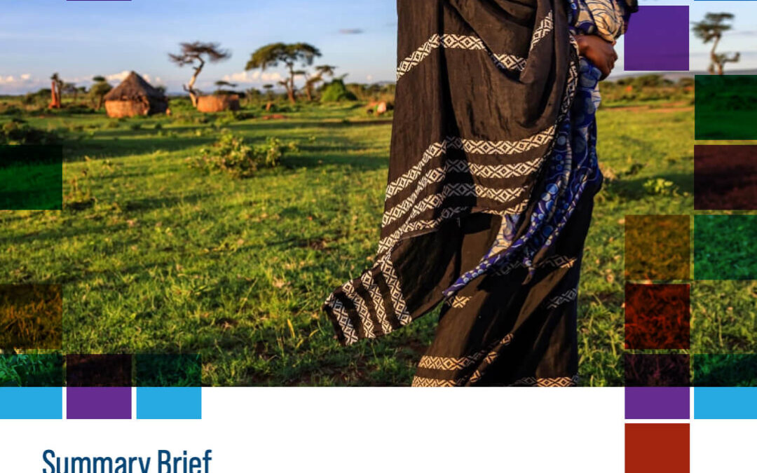 Findings from the Evaluation of the Partners for a Malaria-Free Zambia Program of Scale
